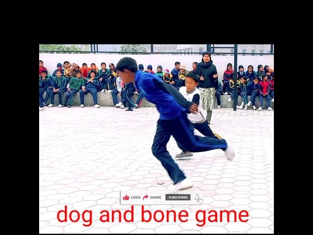 Shorts video funny dog and bone #shorts#shortsfeed #cr7 #viral #trending #dogandbone #katari ️