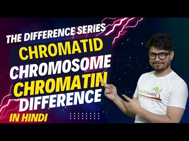 Chromatid vs chromosome vs chromatin | The difference