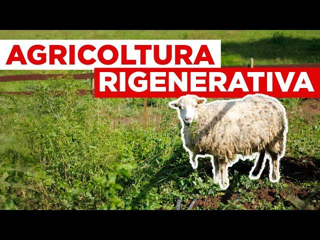 Cos’è l’agricoltura rigenerativa