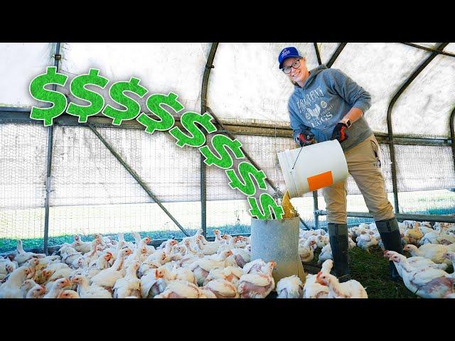 Stop Losing Money Feeding Your Chickens [Complete Guide]