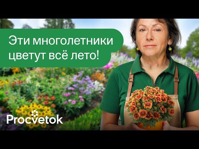 10 ЯРКИХ МНОГОЛЕТНИКОВ ЦВЕТУЩИХ ВСЁ ЛЕТО И КУСОЧЕК ОСЕНИ!