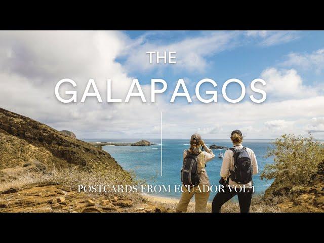 What makes the Galápagos so special | Postcards from Ecuador - Episode 1