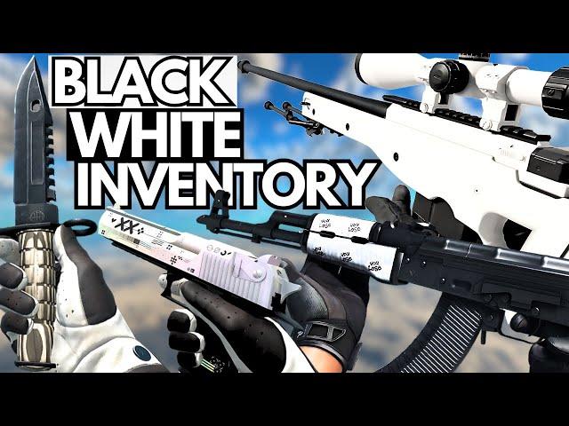 BEST BLACK and WHITE Inventory in CS2 (BUDGET Black & White Skins Loadout)