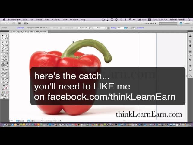 Adobe Illustrator CS5 tutorials lessons create artwork How to build draw vector mesh tool graphics