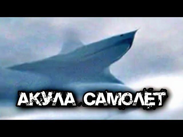 Акула Самолёт. Aircraft Shark. Описание, способности и место обитания