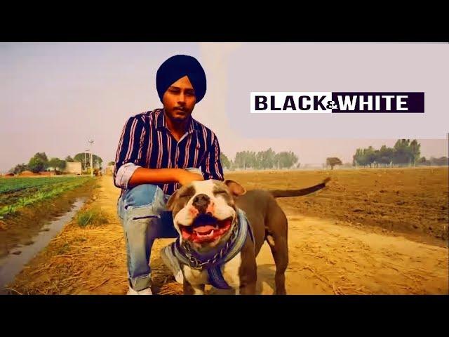 Black & White | Harinder Samra | Dreamboydb | Full Music Video | New Punjabi song 2018