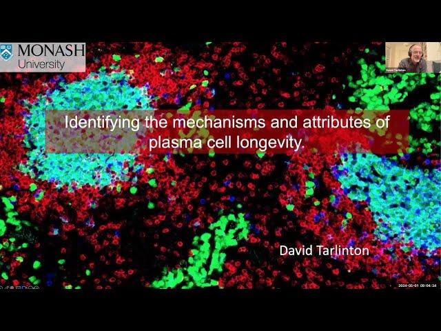 "Identifying the mechanisms and attributes of plasma cell longevity" by Dr. David Tarlinton