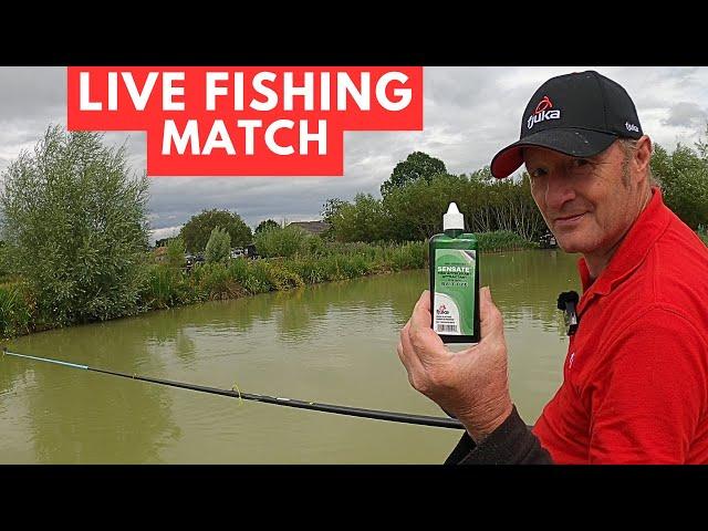 Live Fishing Match Manor Farm Swilland #matchfishinguk