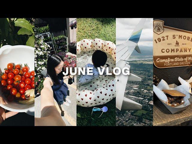 JUNE VLOG｜小菜园的收获 提前吃生日蛋糕啦炎炎夏日玩水日常开启波特兰旅行️