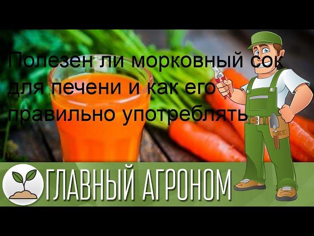 Полезен ли морковный сок для печени и как его правильно употреблять