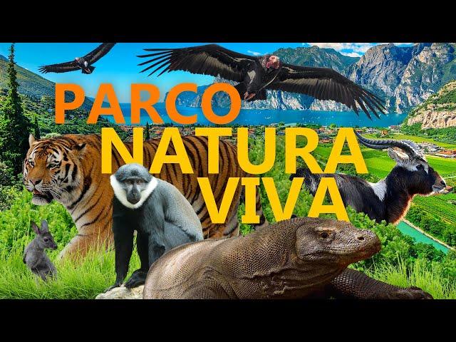 Parco Natura Viva - Safaripark und Zoo am Gardasee | Zoo-Eindruck