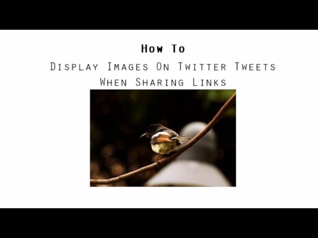 Blogger Tips: How to auto display images when sharing links to Twitter?