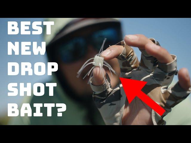 Is This Crazy Japanese Lure The Best Drop Shot Bait On The Market?