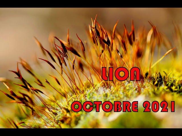 LION - OCTOBRE 2021