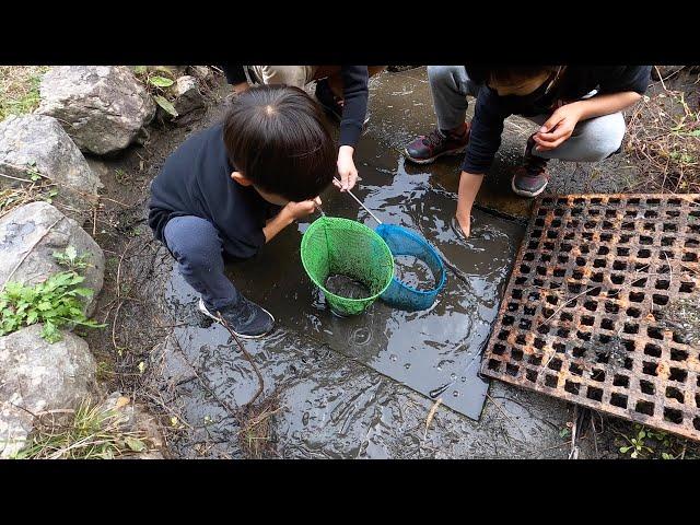 山奥で見つけた謎のマスの中に潜んでいた生物とは・・・