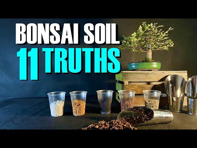 Bonsai Soil (What You Need To Know)