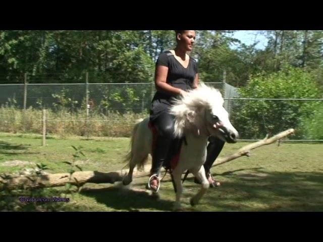 Pony Riding #pony #ponyriding #donkey #donkeyriding #Buffaloriding