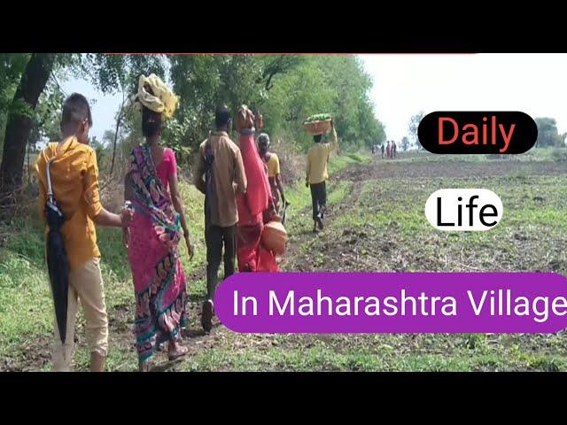 Daily Life In Maharashtra Village Rural Life In India Nanded district village vlog