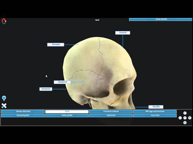 Interactive 3D Virtual Experiments Teaser - By LabInApp