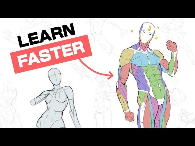 You MUST Avoid These Art Anatomy Mistakes