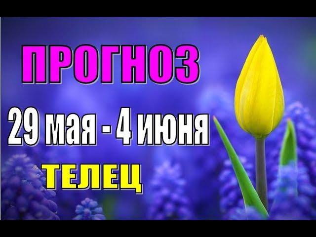 Прогноз на неделю с 29 мая по 4 июня  ТЕЛЕЦ. Недельный гороскоп