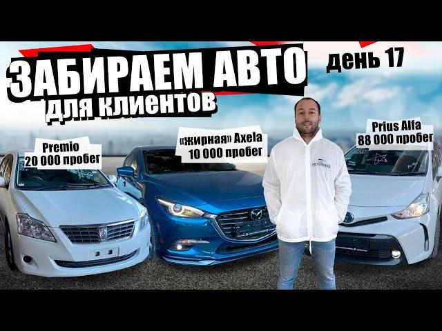 Новые авто из Японии с минимальным пробегом + цена на Prius Alpha!