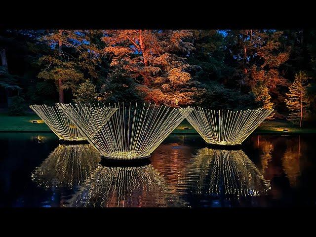 Bruce Munro for Light: Installations by Bruce Munro