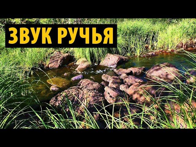 Журчание ручья - слушать звук лесного ручья для сна, релакса и медитации