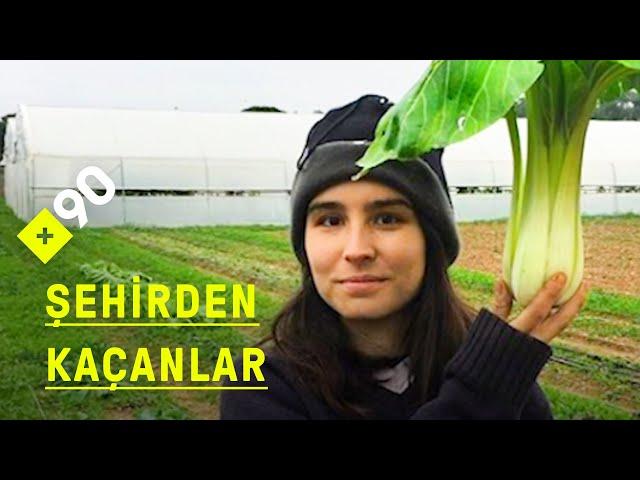 Şehirden kaçanlar: Plazadan tarlaya | "Modern ve doğaya saygılı tarım"