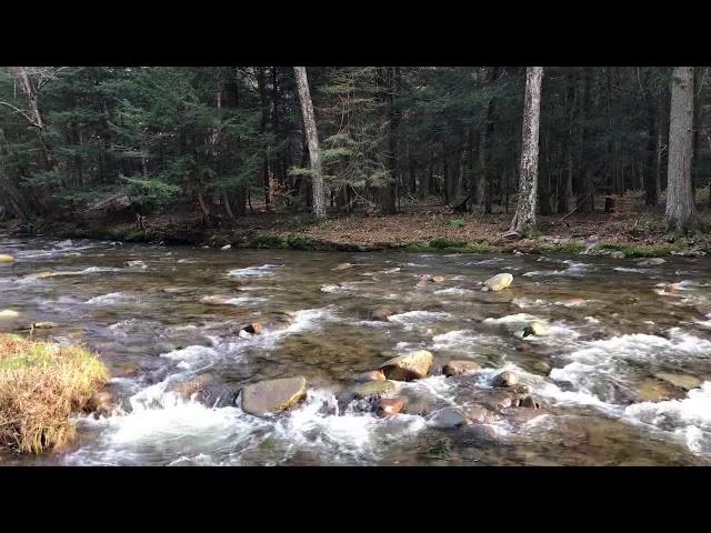 Travel to The YMCA in The Catskill (1) Beautiful Mountain River. Nov.04,2018