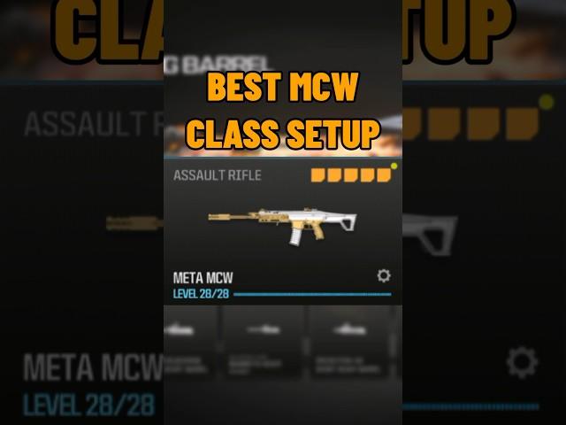 new BEST MCW CLASS SETUP in MW3!