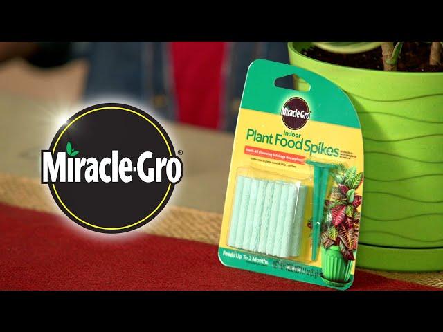 How to Feed Your Plants with Miracle-Gro® Plant Food Spikes