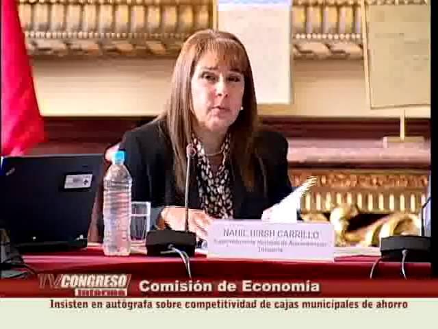 Sesiones de comisiones parlamentarias