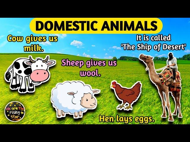 Domestic Animals and their uses | Pet Animals |  WATRstar