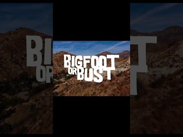 #bigfoot #celebrity  #creature #tenaatv #shorts #shortsfeed #shortvideo #western #viral