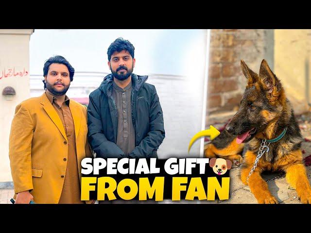 New dog Special gift by Fan  | Bilal marth