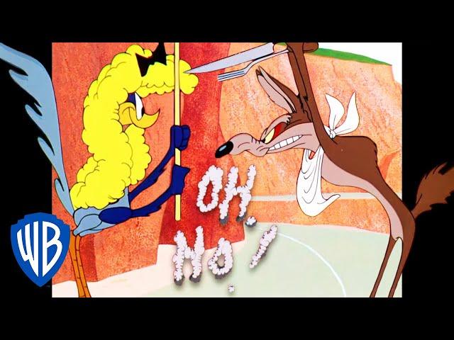 Looney Tunes | Beep, Beep! | Classic Cartoon | WB Kids