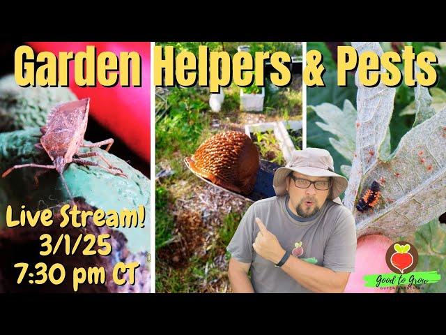 Let's Talk Garden Helpers and Garden Pests!