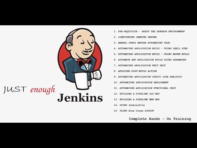 Jenkins 11 - Application Functional Testing