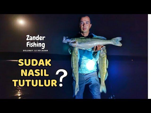 pike perch hunting, how to catch fish, pike perch and fishing techniques