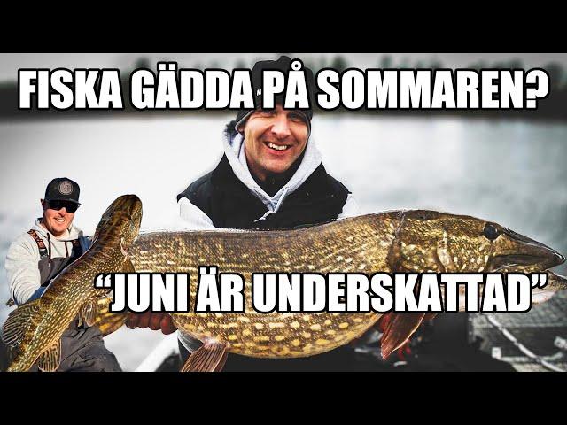 Fiska GÄDDA på SOMMAREN - David Lundqvist och Mikko Seppänen tipsar!