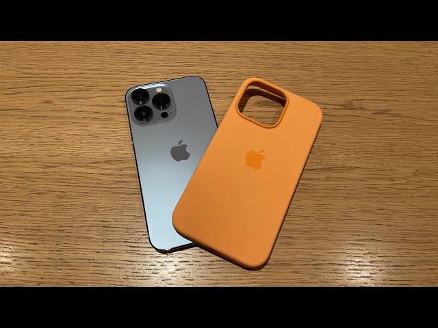 Does iPhone 13 Pro Max Sierra Blue MATCH with Apple Official Marigold ( Orange ) Silicone Case?