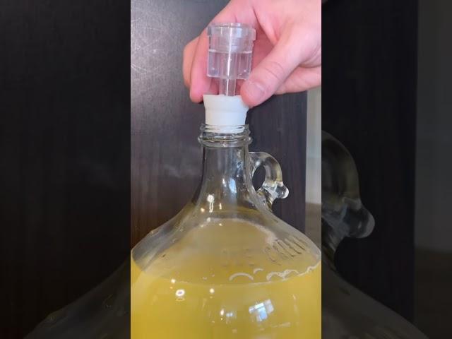 TRADITIONAL MEAD START TO FINISH