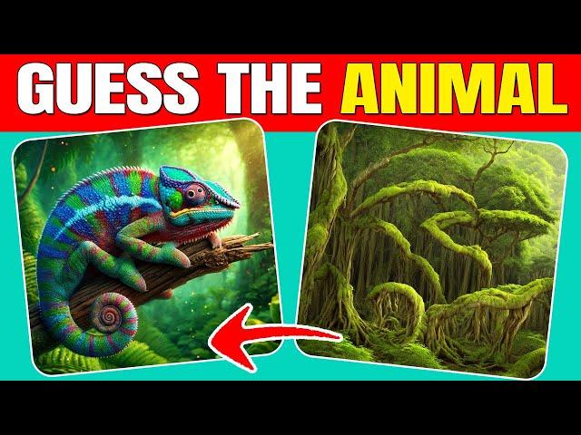 Guess the Hidden Animals by ILLUSIONS | Easy, Medium, Hard levels | Quizzer Odin