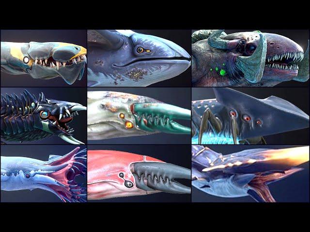 ALL LEVIATHAN & DEADLY CREATURE IN SUBNAUTICA BELOW ZERO