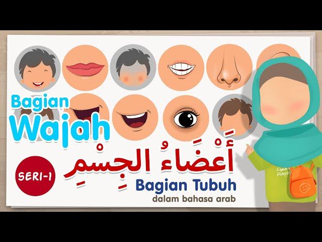 Learn body part names in Arabic - series 1 (face parts)