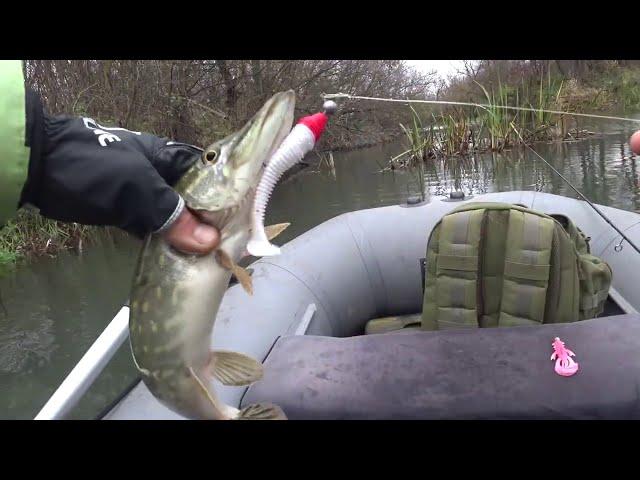 Caught only with two lures. November pike catch.