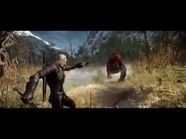 The Witcher 3 Wild Hunt The Sword Of Destiny