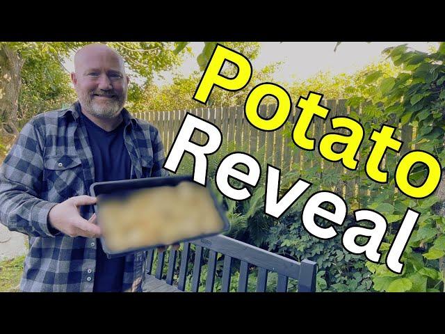 First Early Potato Reveal - Sustainable Home Gardening Harvest!