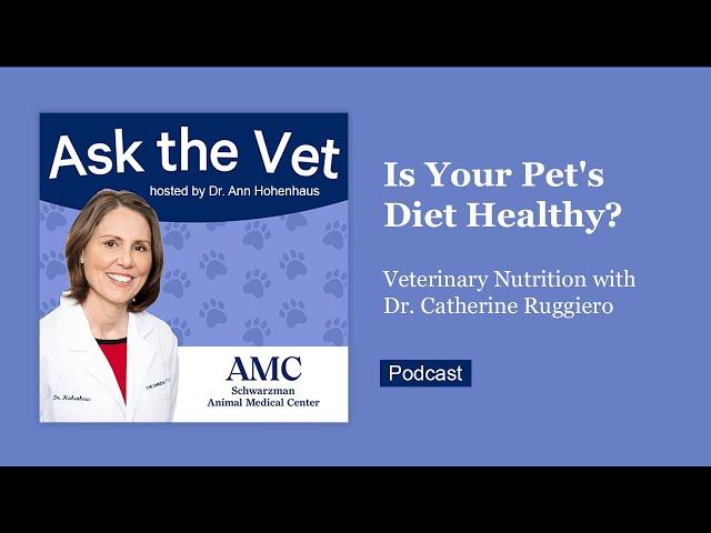 Ask the Vet: Is Your Pet's Diet Healthy? Veterinary Nutrition with Dr. Catherine Ruggiero